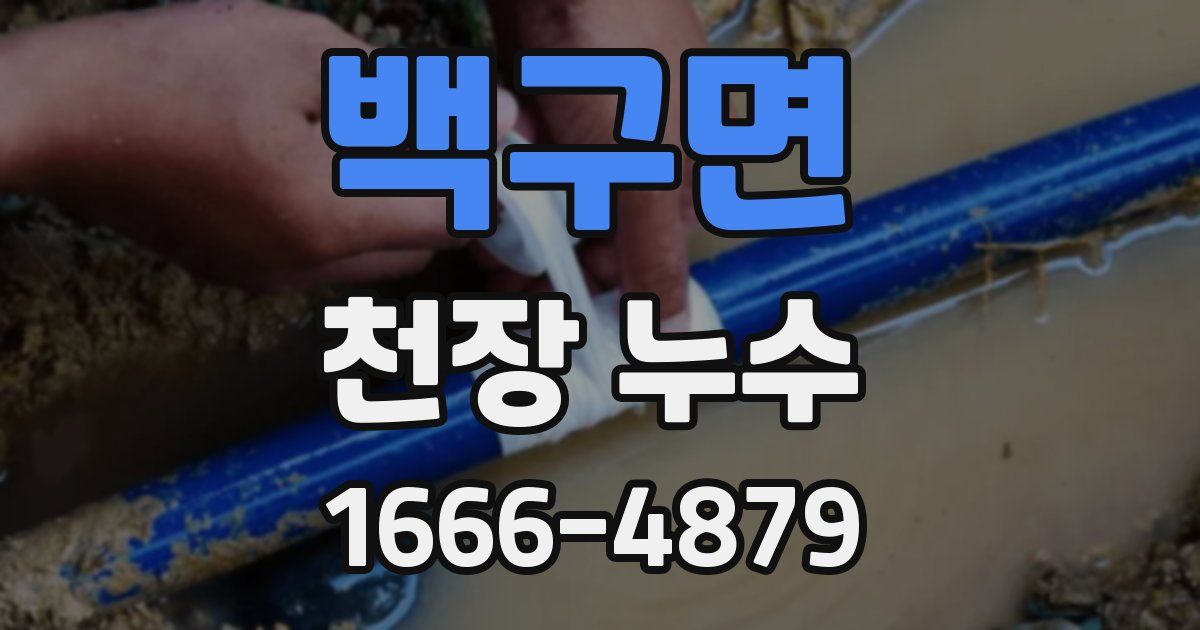 백구면 천장 누수