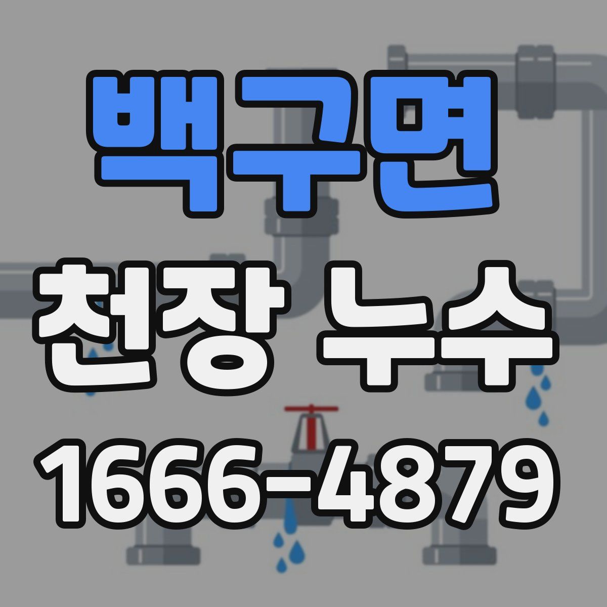 백구면 천장 누수