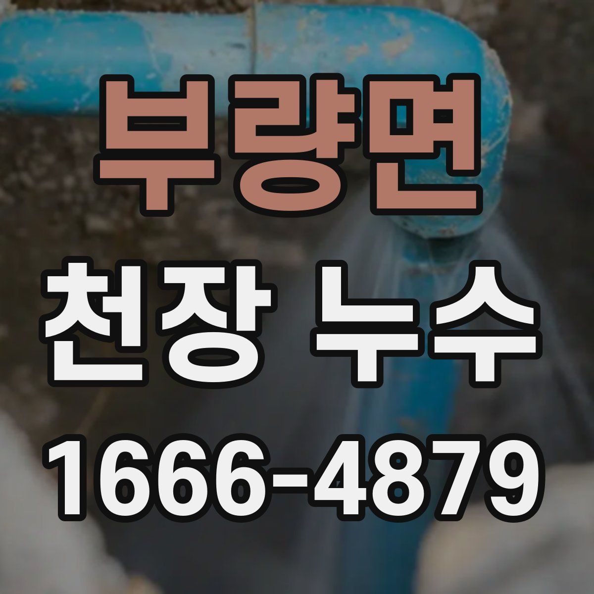 부량면 천장 누수