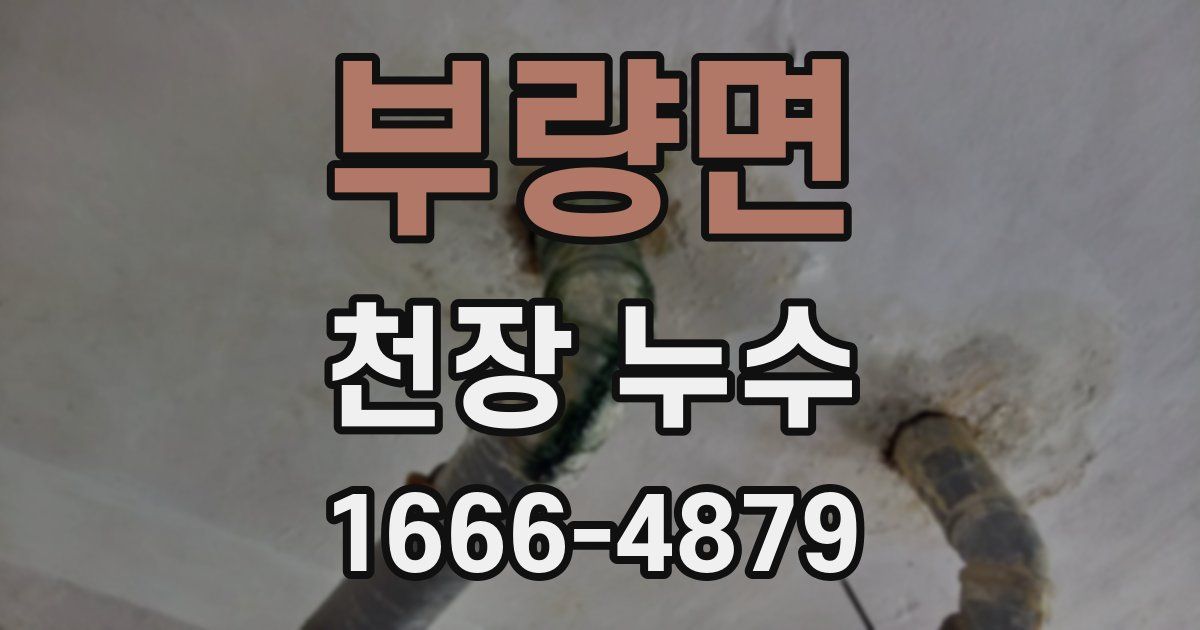 부량면 천장 누수