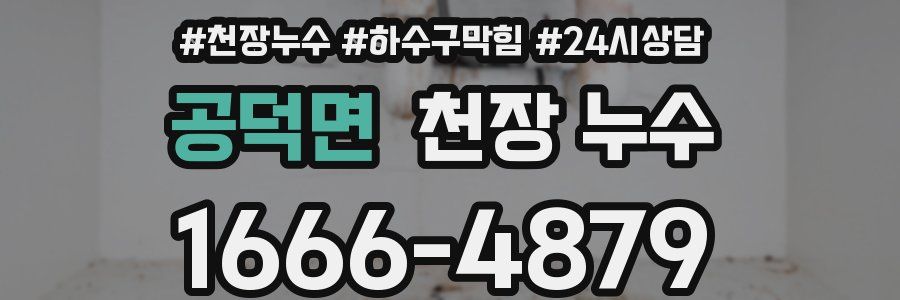 공덕면 천장 누수