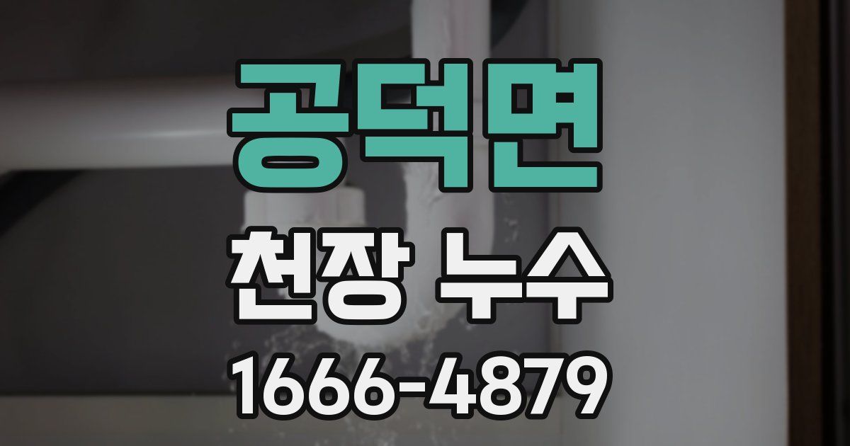 공덕면 천장 누수