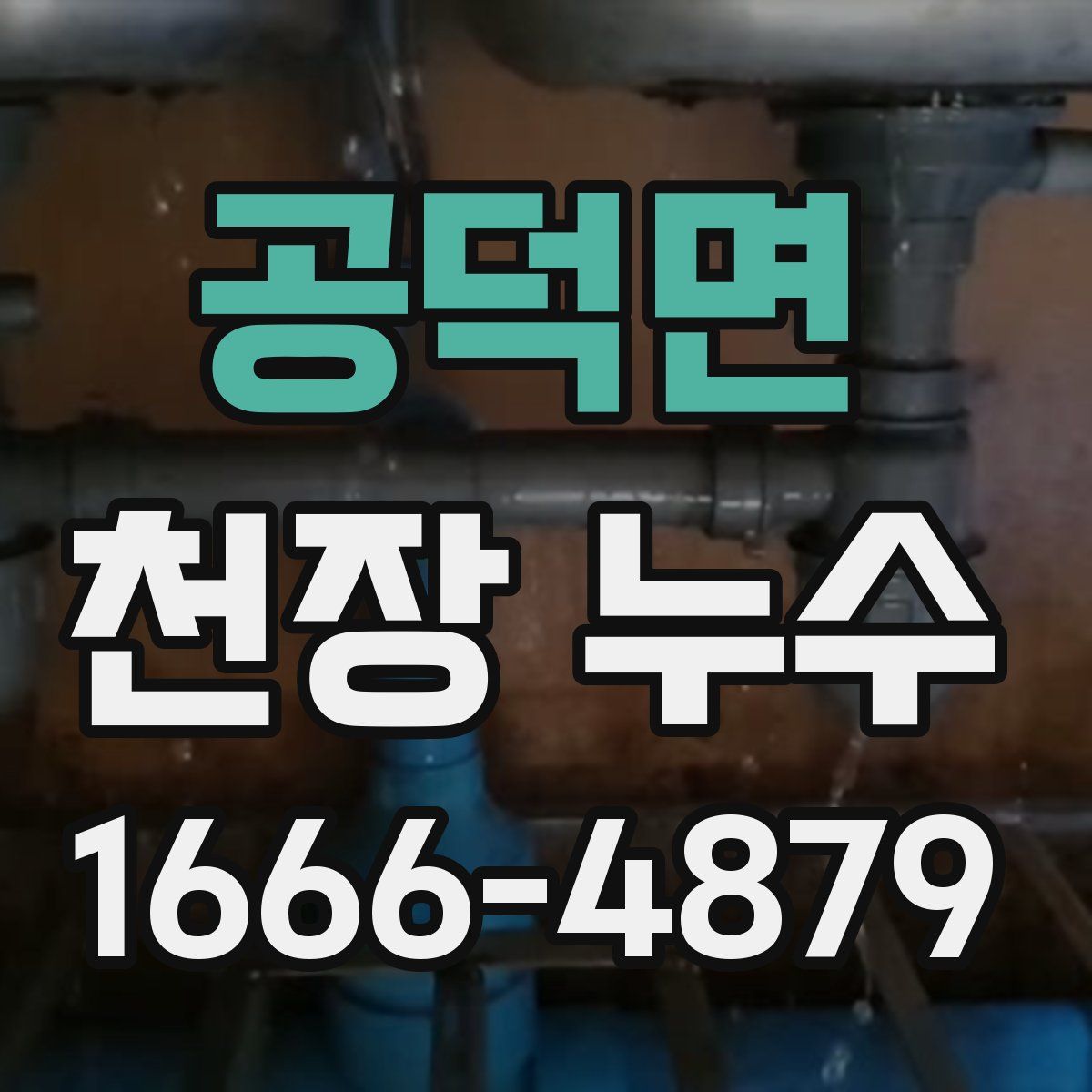 공덕면 천장 누수