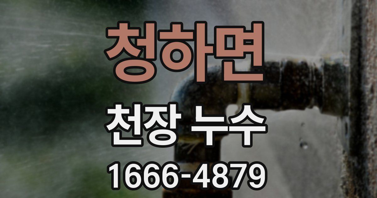 청하면 천장 누수