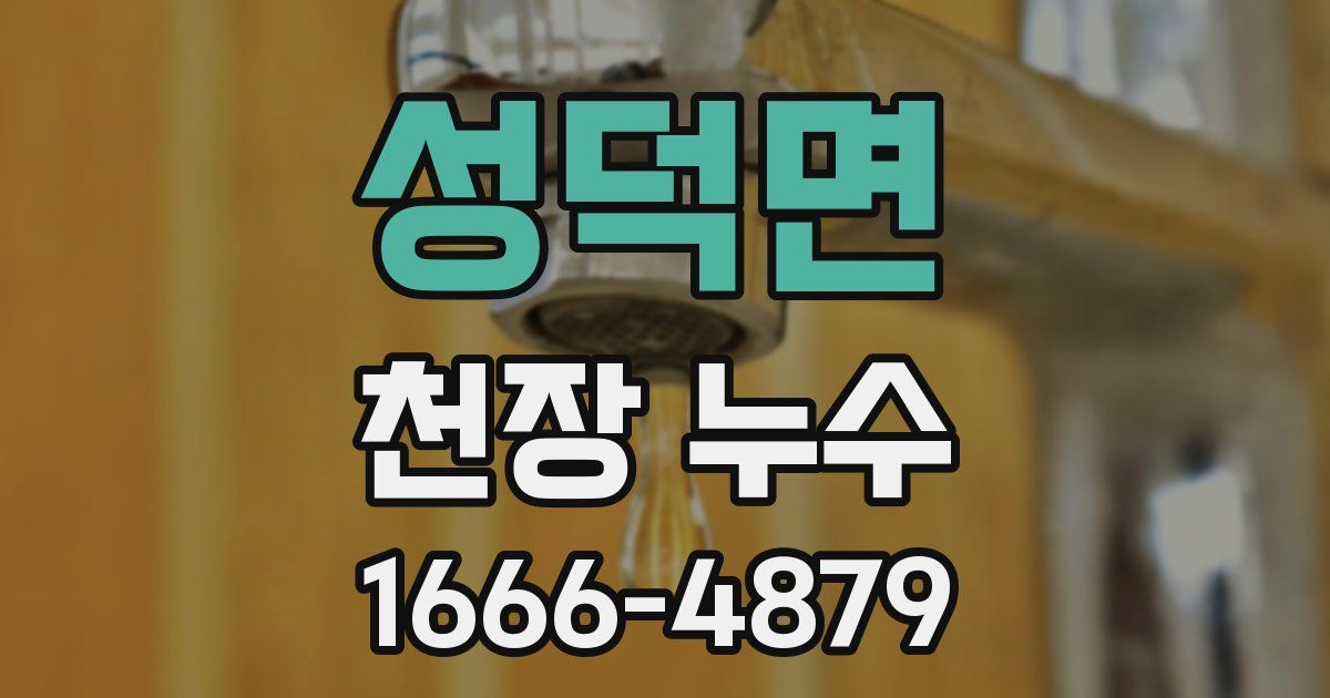 성덕면 천장 누수