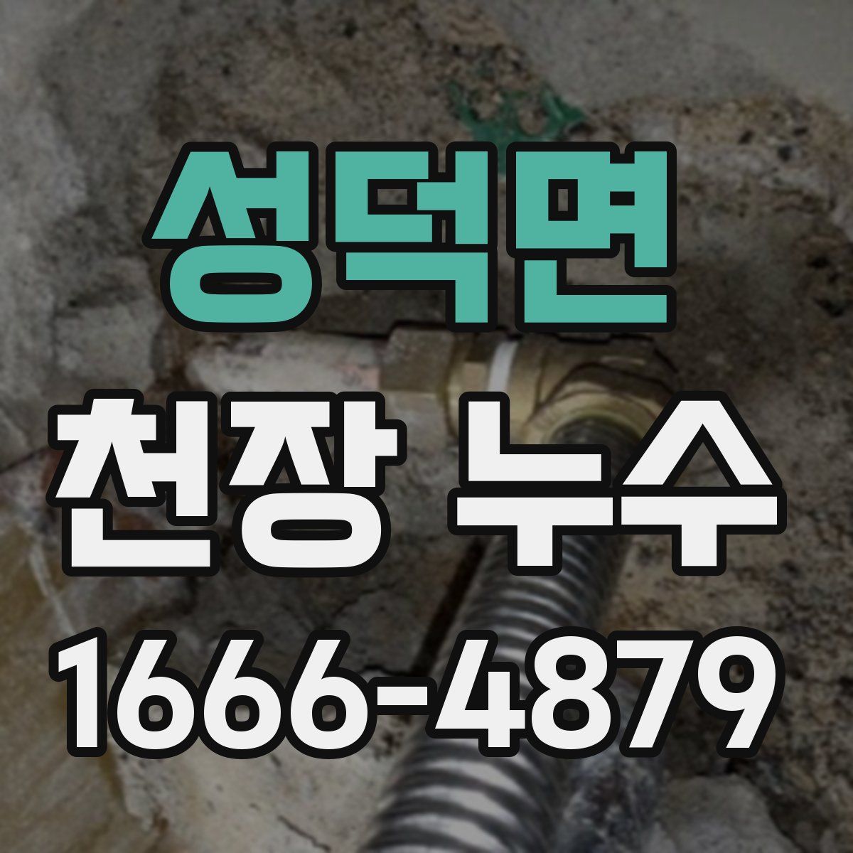 성덕면 천장 누수