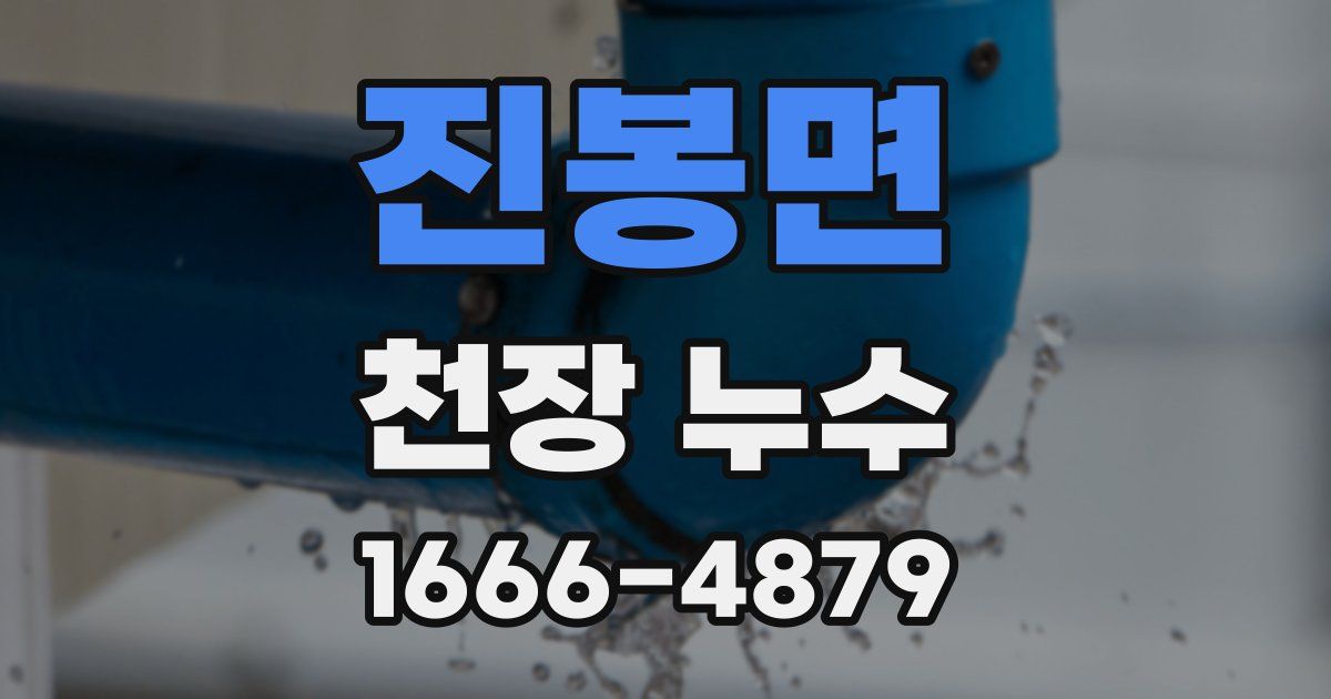 진봉면 천장 누수