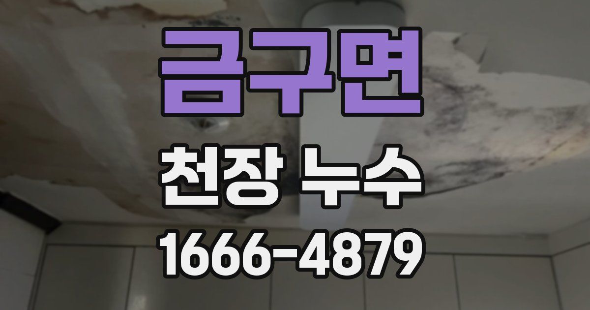 금구면 천장 누수