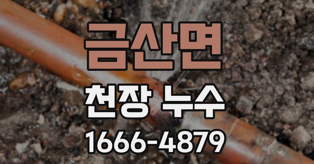 금산면 천장 누수