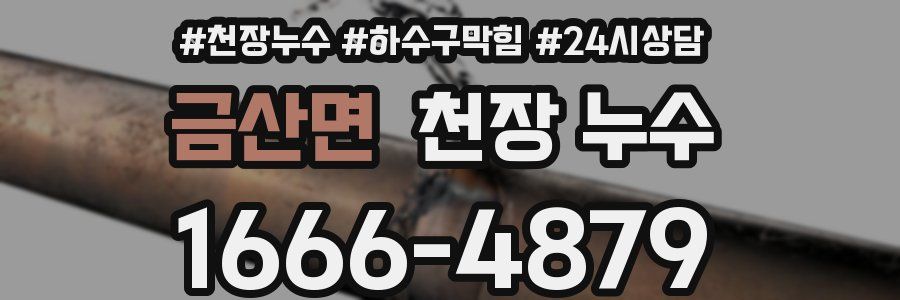 금산면 천장 누수