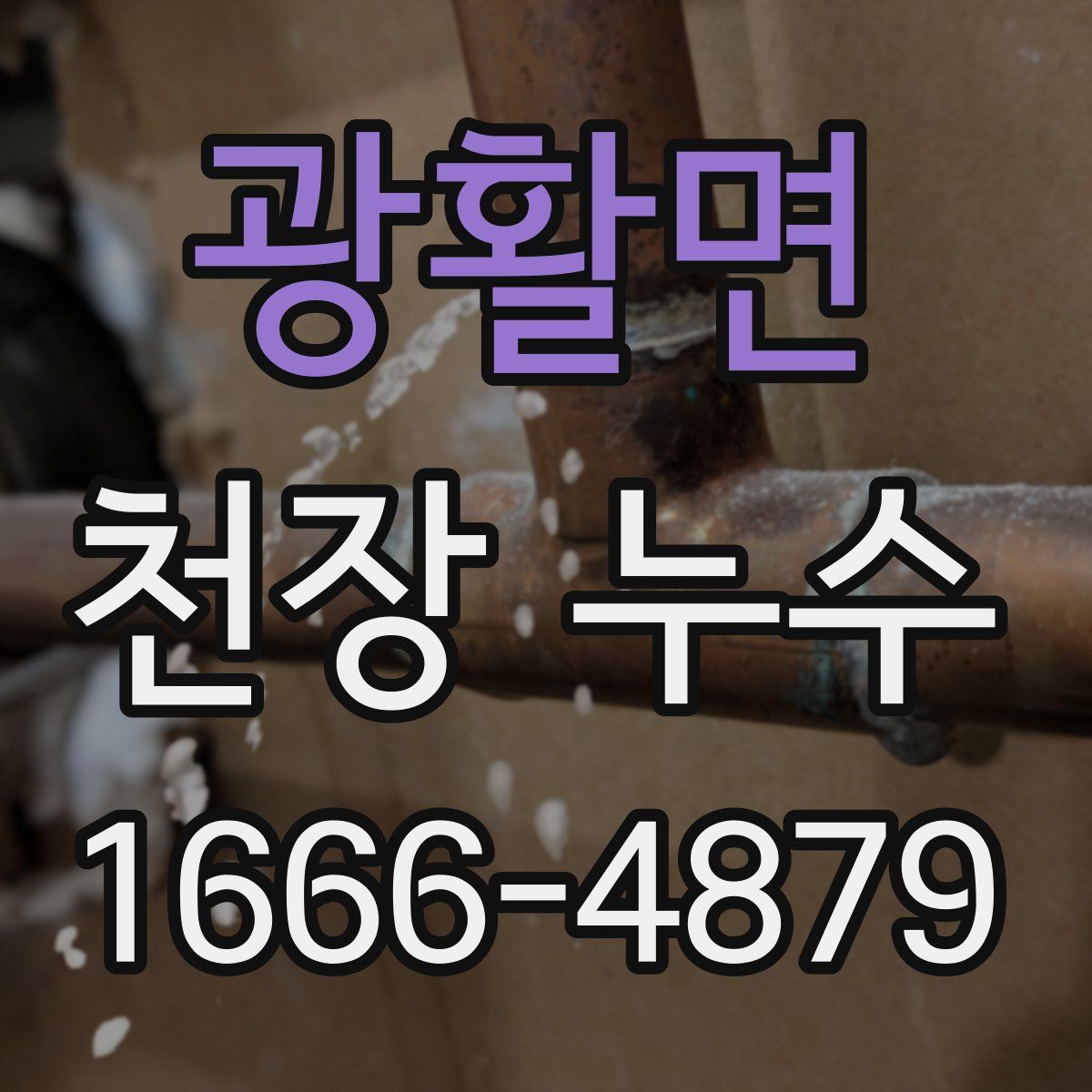 광활면 천장 누수