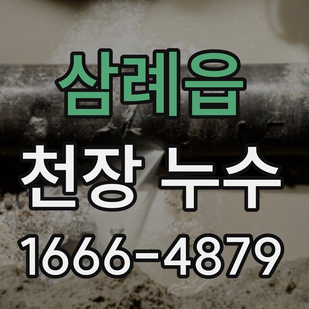 삼례읍 천장 누수