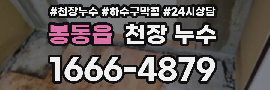 봉동읍 천장 누수