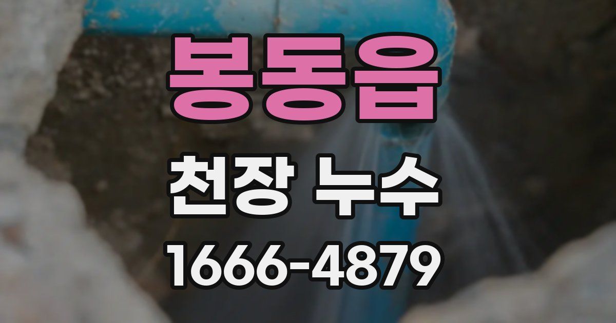 봉동읍 천장 누수