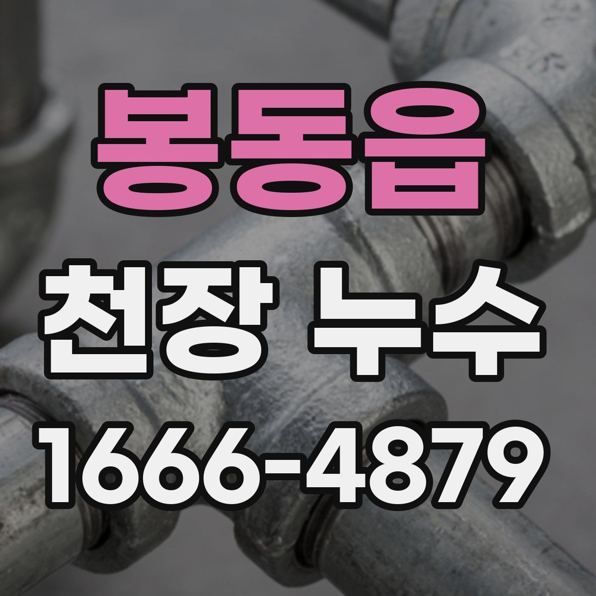 봉동읍 천장 누수