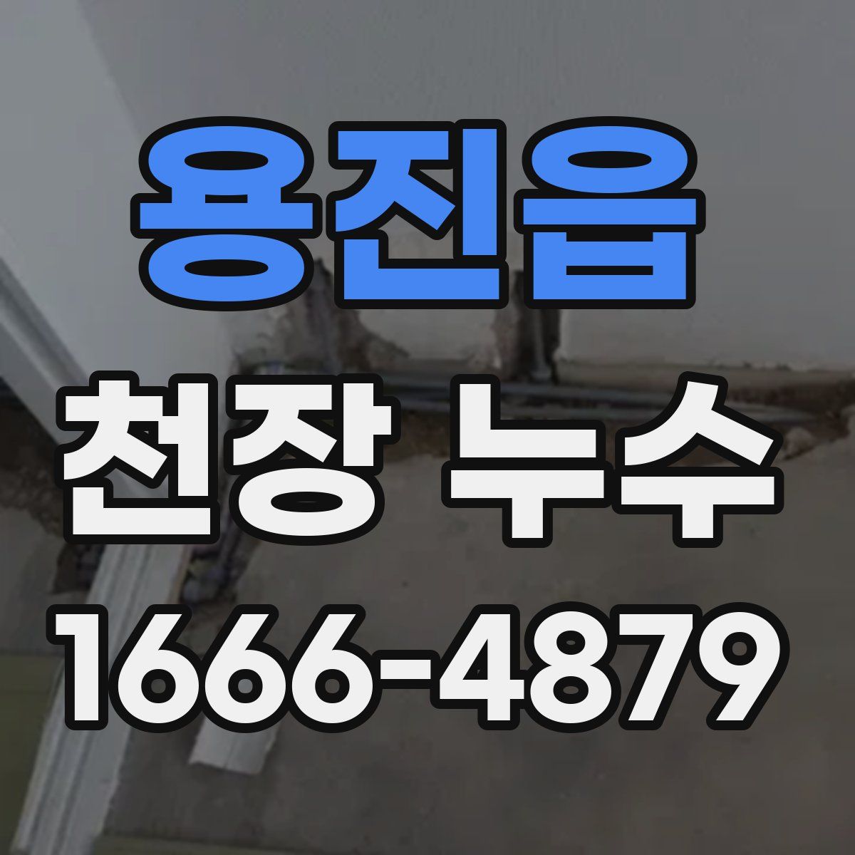 용진읍 천장 누수