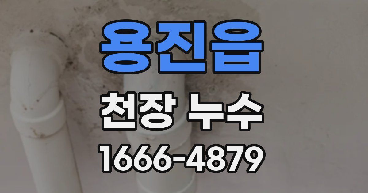 용진읍 천장 누수