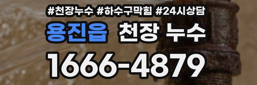 용진읍 천장 누수