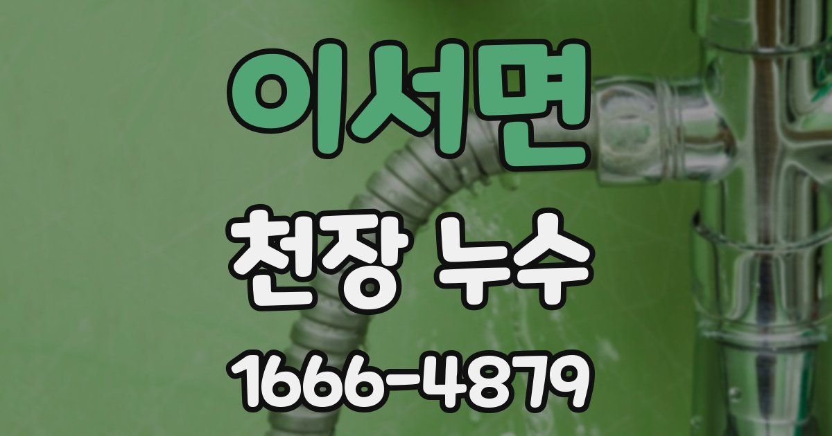 이서면 천장 누수