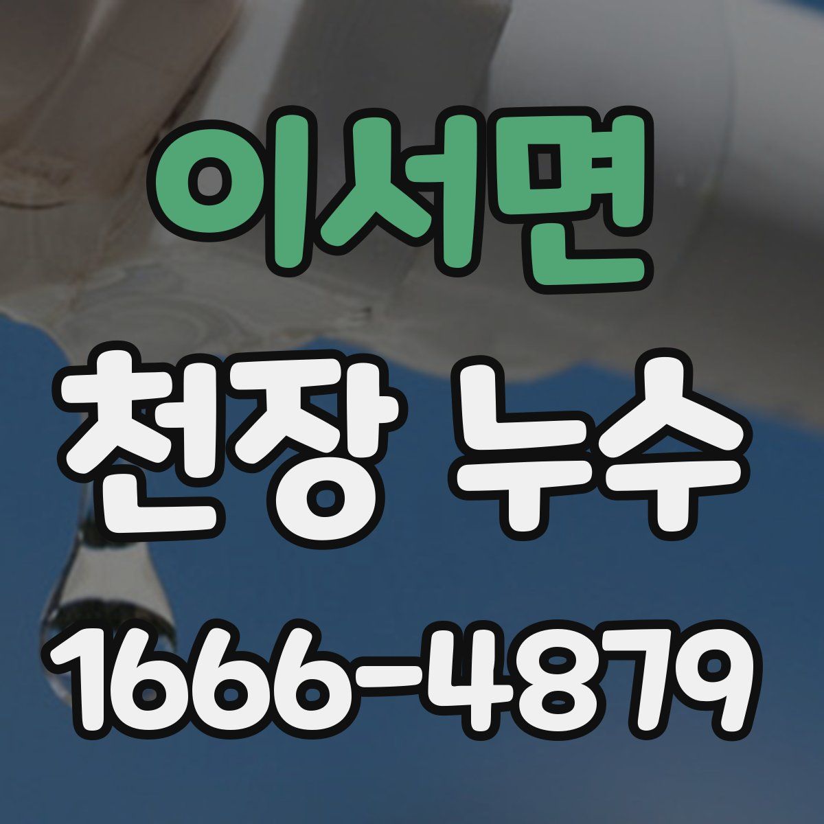 이서면 천장 누수