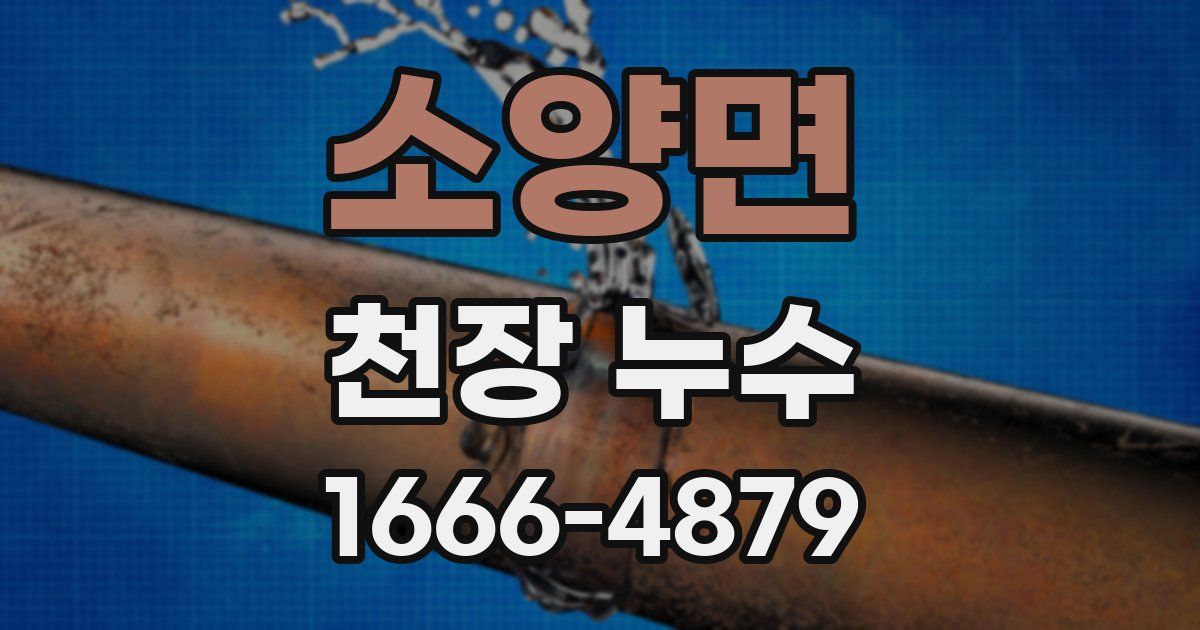 소양면 천장 누수