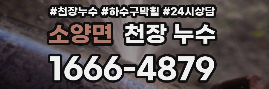 소양면 천장 누수