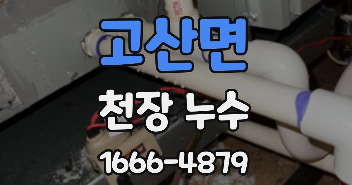 고산면 천장 누수