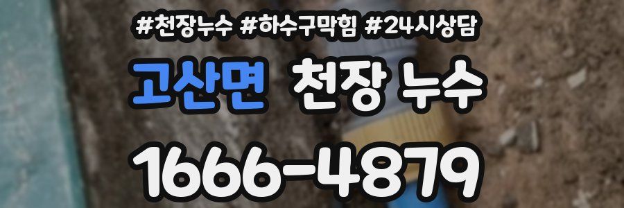 고산면 천장 누수