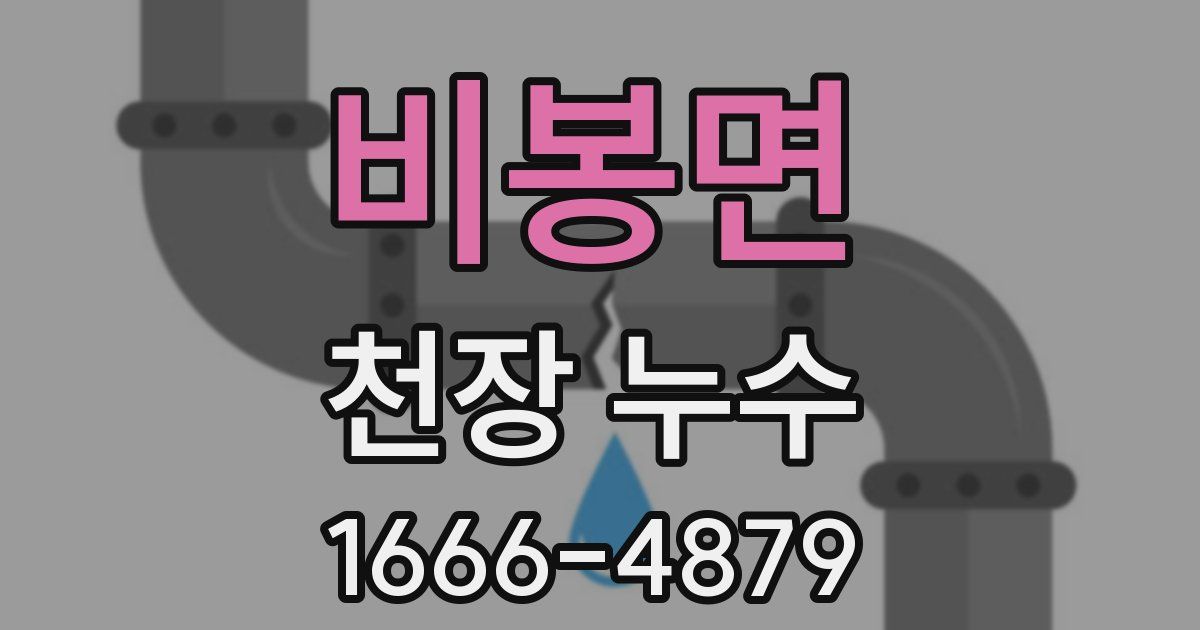 비봉면 천장 누수