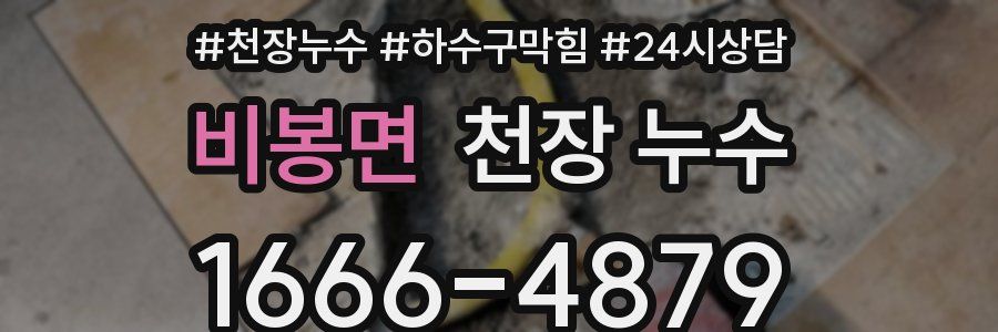 비봉면 천장 누수