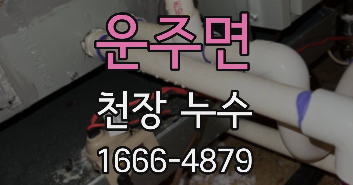 운주면 천장 누수