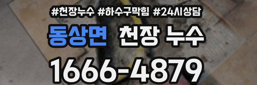 동상면 천장 누수