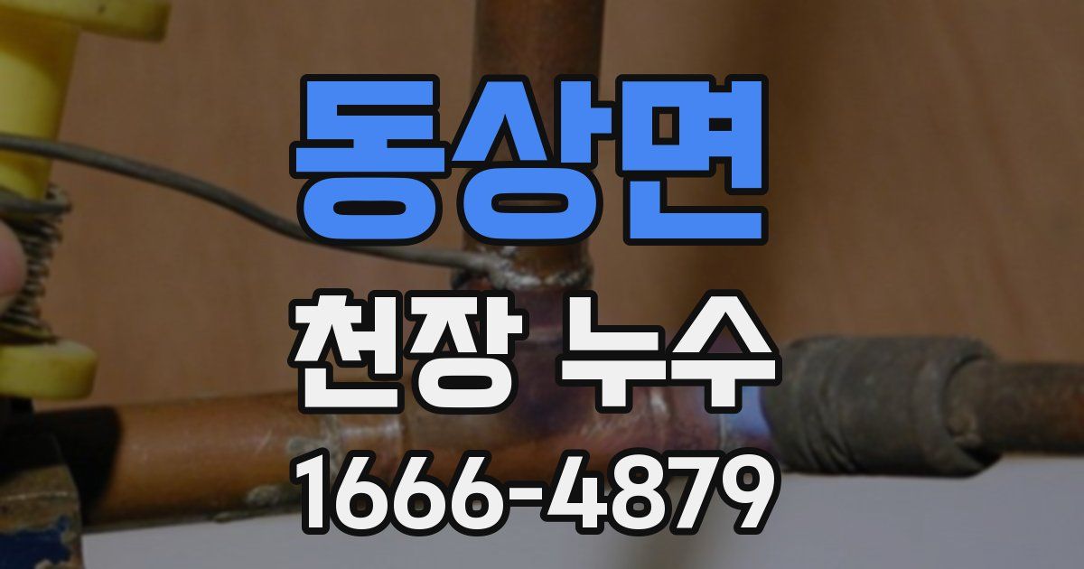 동상면 천장 누수