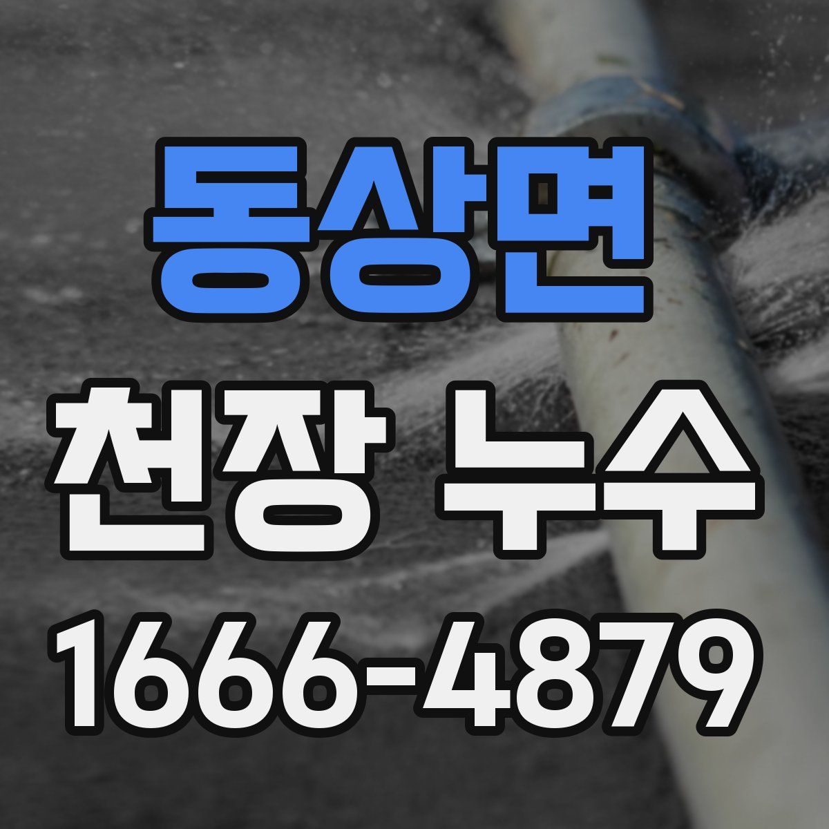 동상면 천장 누수