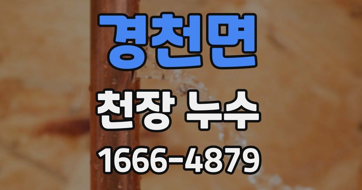 경천면 천장 누수