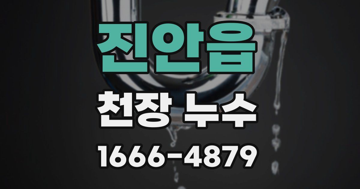 진안읍 천장 누수