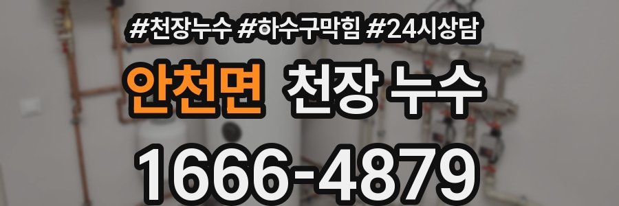 안천면 천장 누수