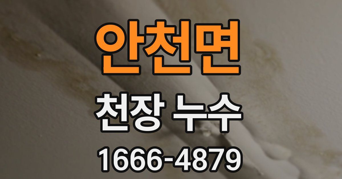 안천면 천장 누수