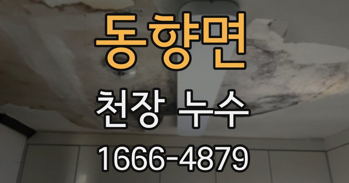 동향면 천장 누수