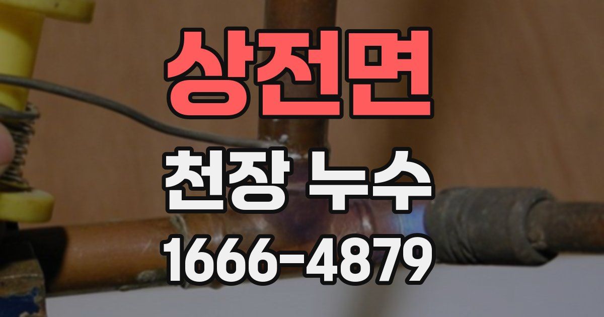 상전면 천장 누수