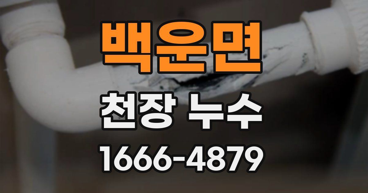 백운면 천장 누수