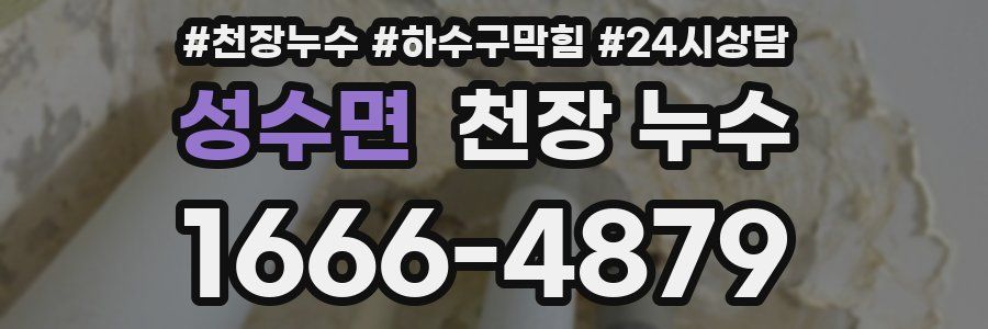 성수면 천장 누수