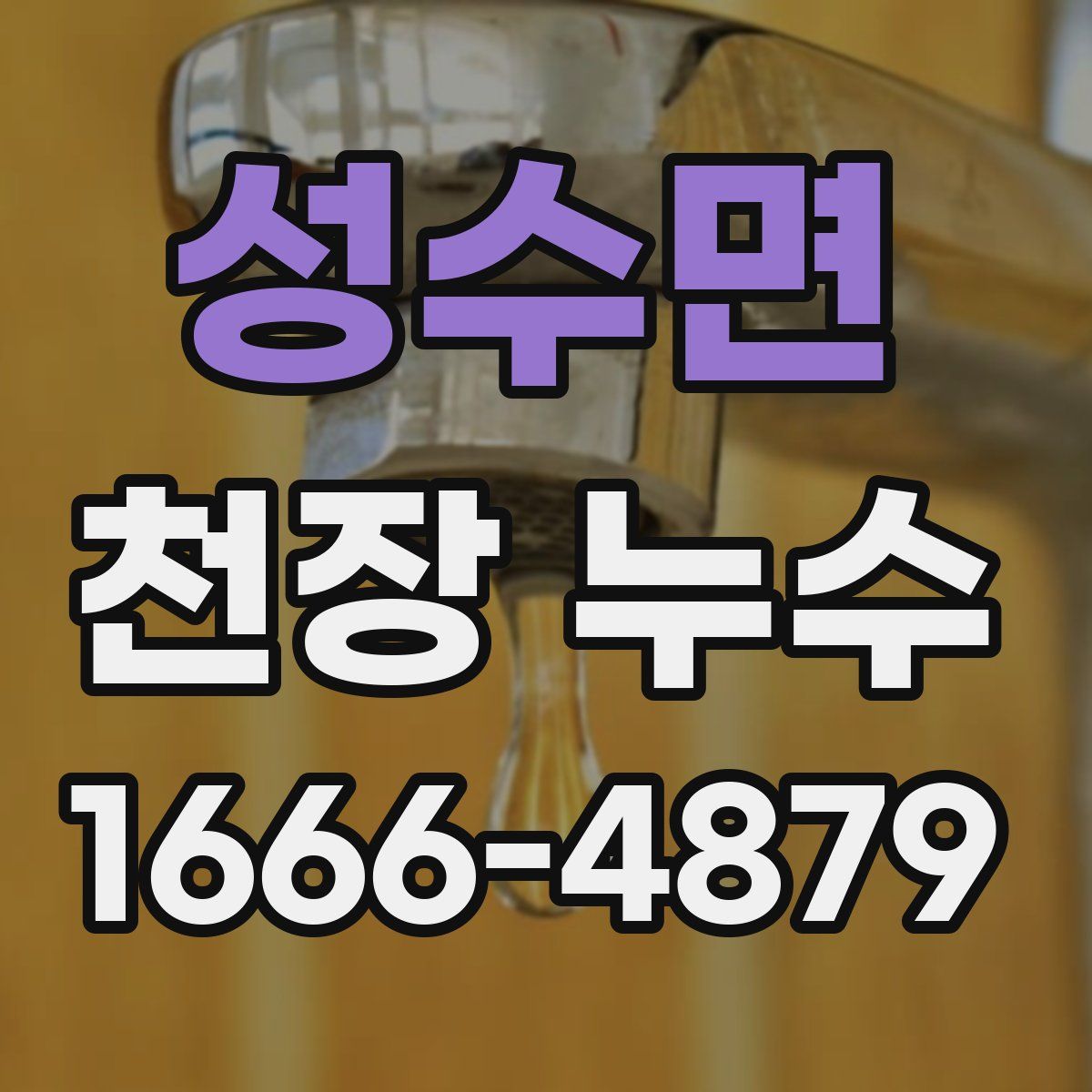 성수면 천장 누수