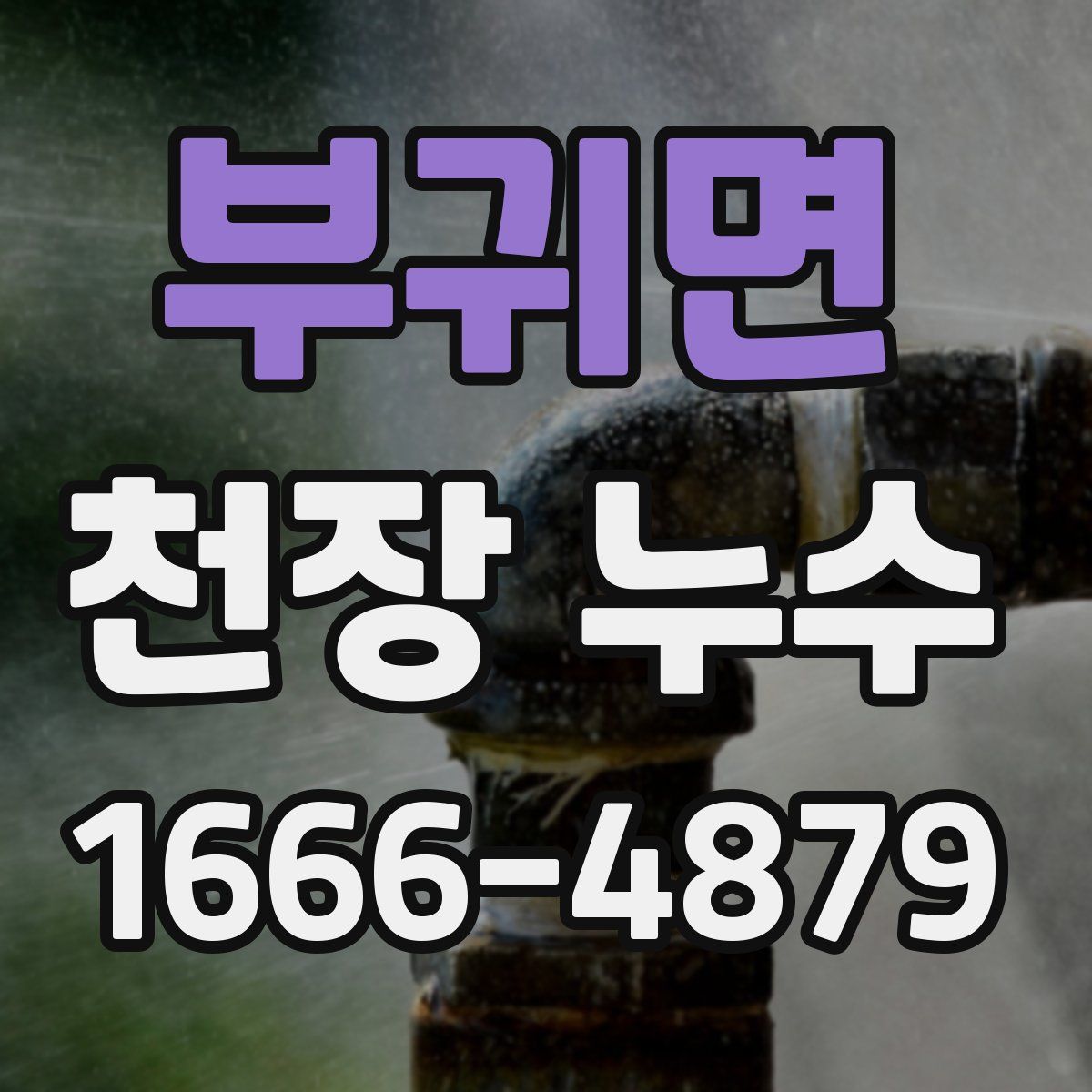 부귀면 천장 누수