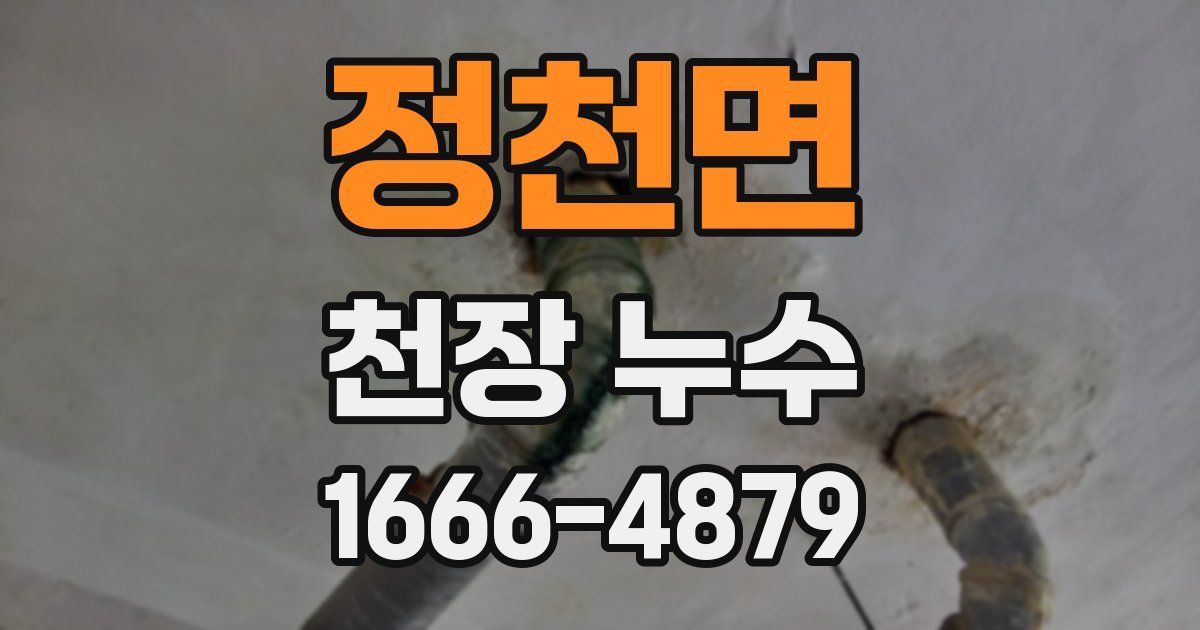정천면 천장 누수