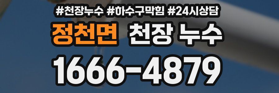 정천면 천장 누수