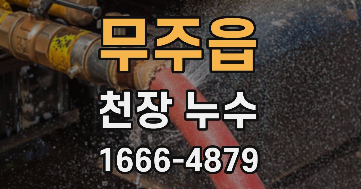 무주읍 천장 누수