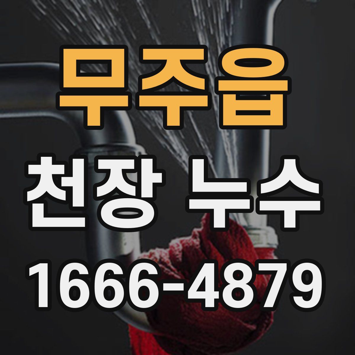 무주읍 천장 누수