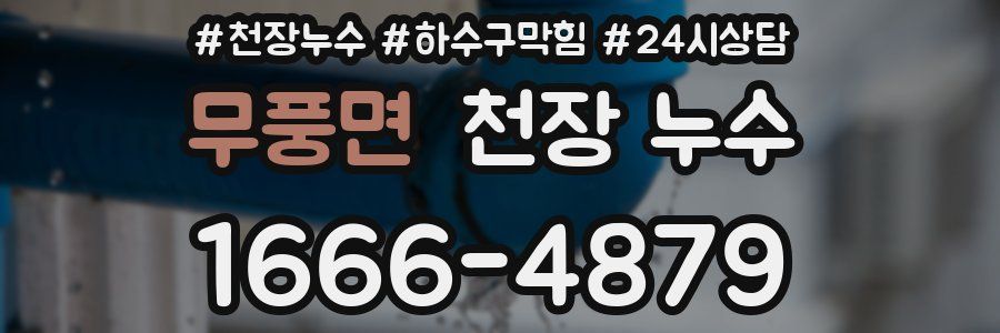 무풍면 천장 누수