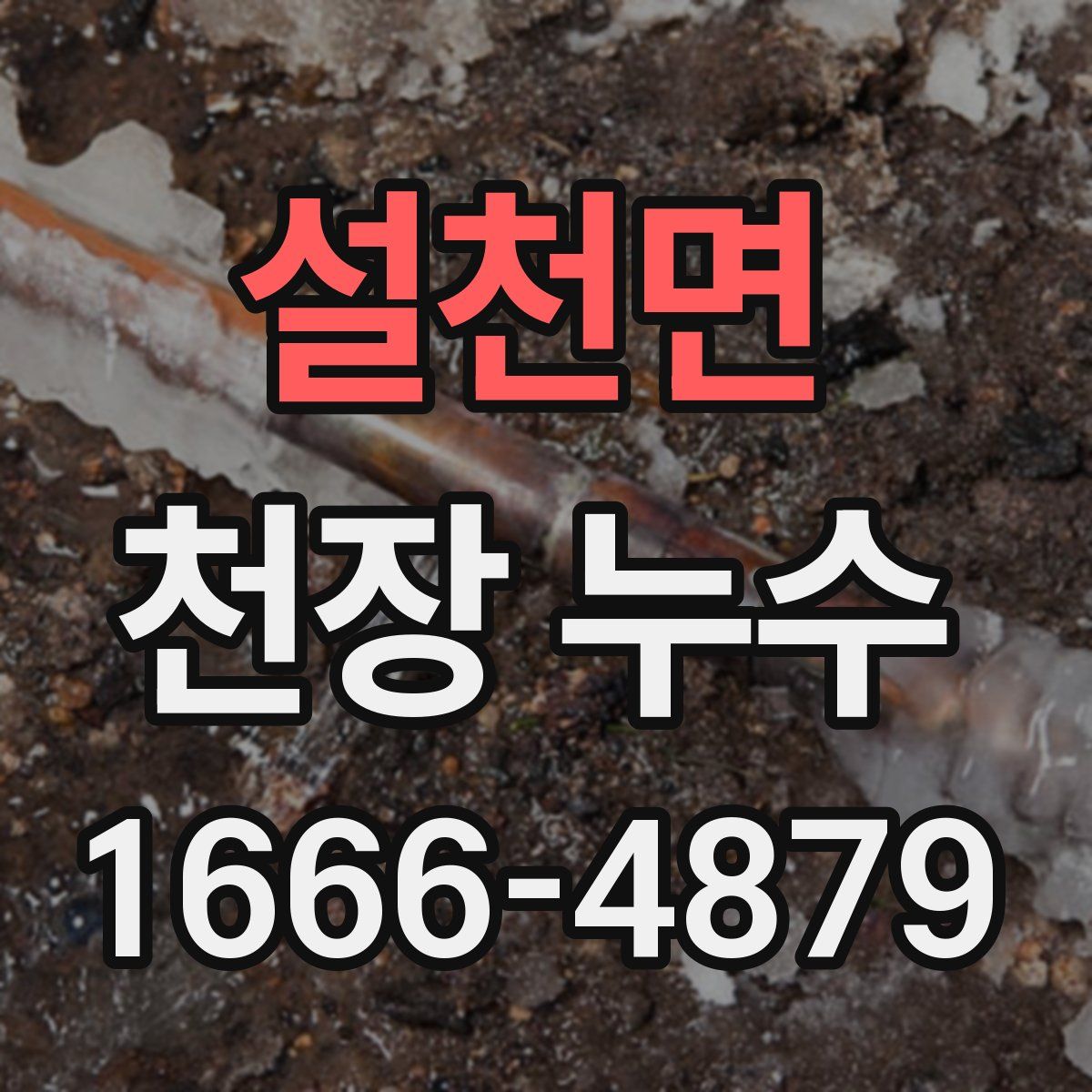 설천면 천장 누수